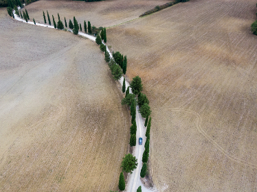 芒果下载 芒果下载